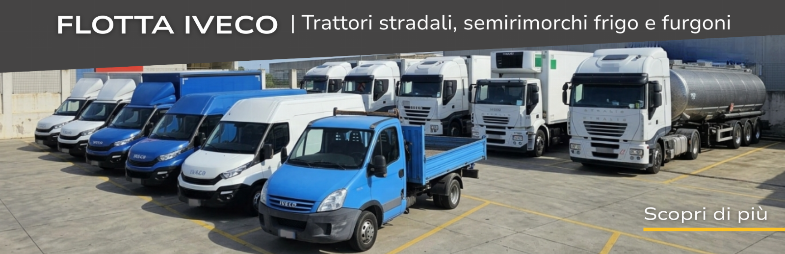 Trattori stradali, semirimorchi frigo e furgoni IVECO - Amministrazione Giudiziaria 83/2022 - Tribunale di Reggio Calabria